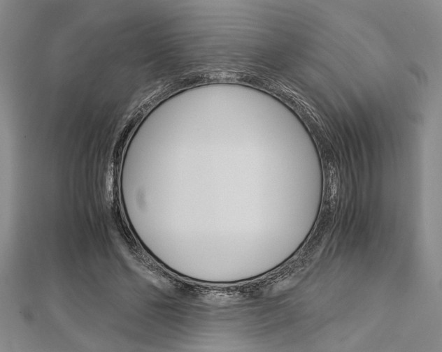 X0000113150494200909040935