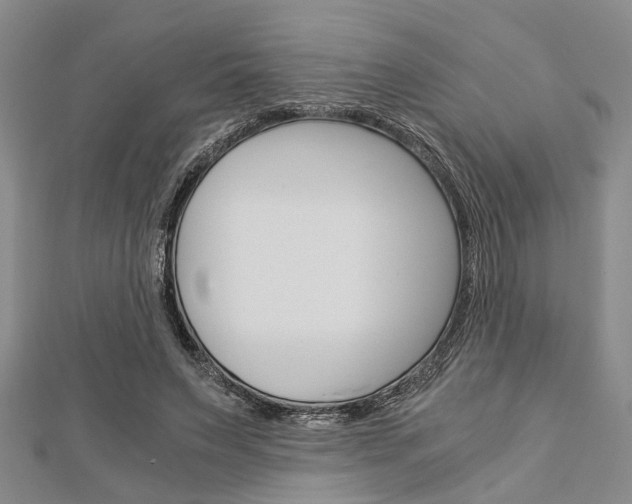 X0000113150495200909040935