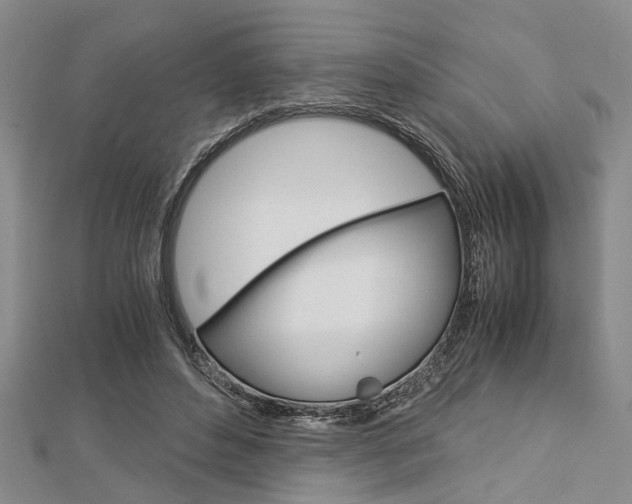 X0000113150496200909040935