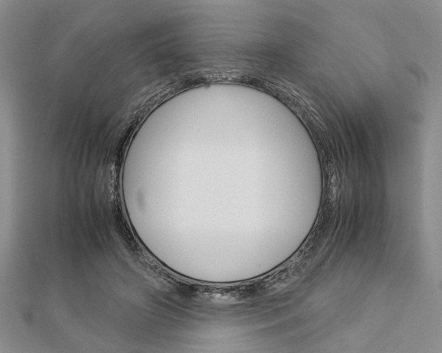 X0000113150498200909040935