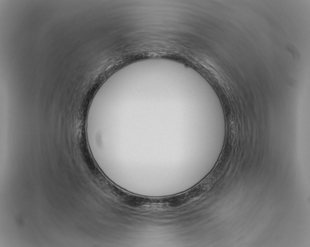 X0000113150499200909040935