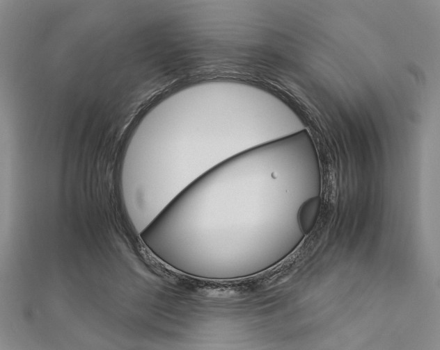 X0000113150500200909040935