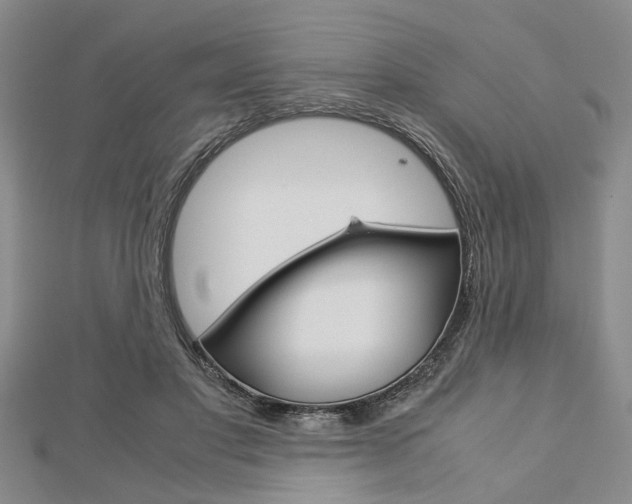X0000113150501200909040935