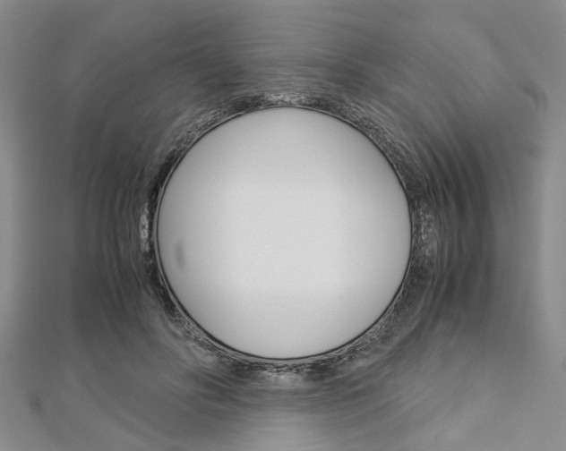 X0000113150502200909040935
