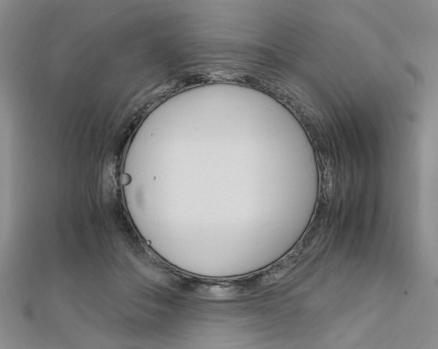 X0000113150506200909040935