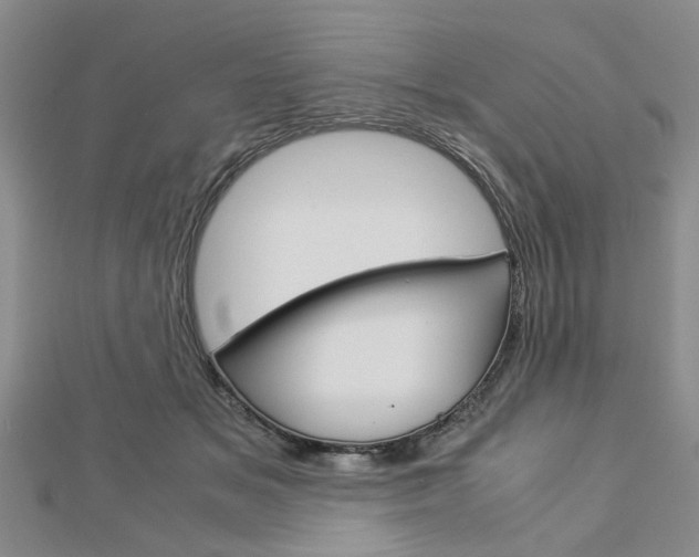 X0000113150509200909040935