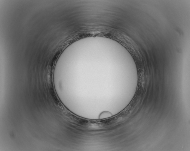 X0000113150510200909040935