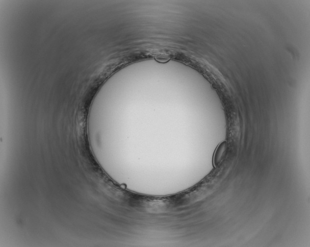 X0000113150513200909040935