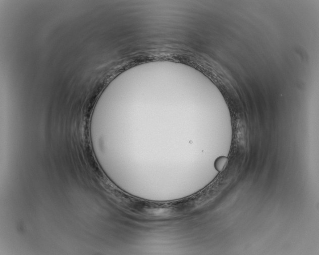 X0000113150514200909040935