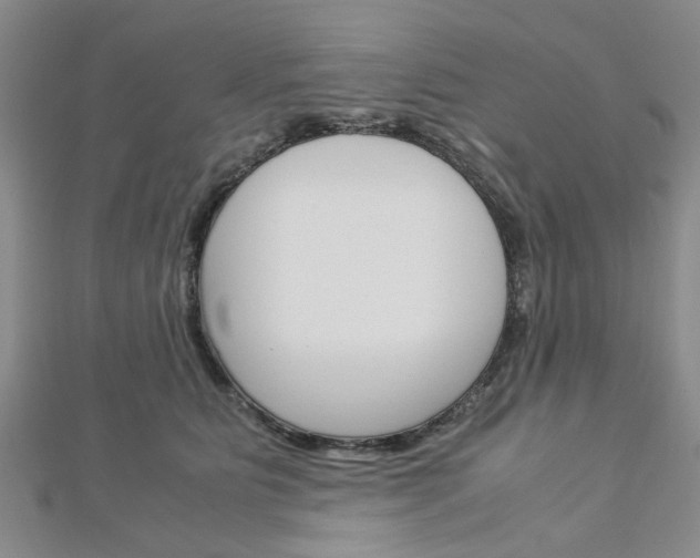 X0000113150515200909040935