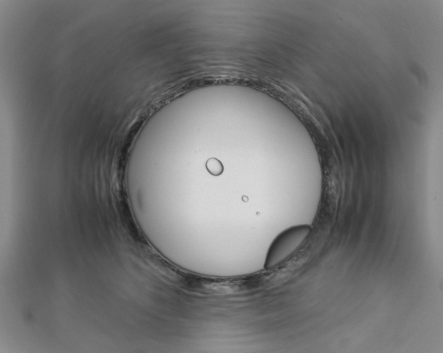 X0000113150516200909040935