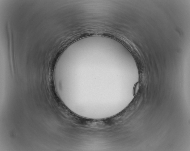 X0000113150517200909040935