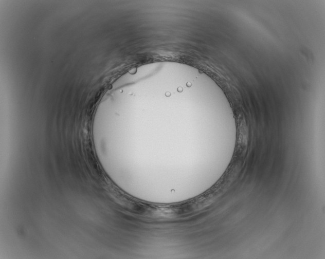 X0000113150518200909040935