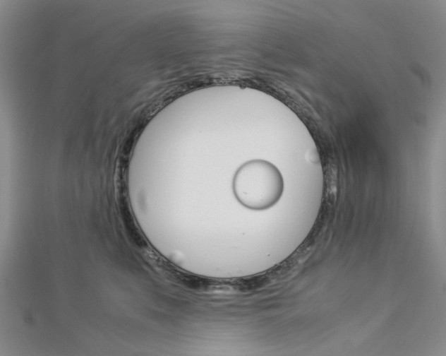X0000113150519200909040935