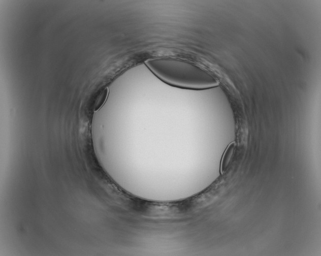 X0000113150521200909040935