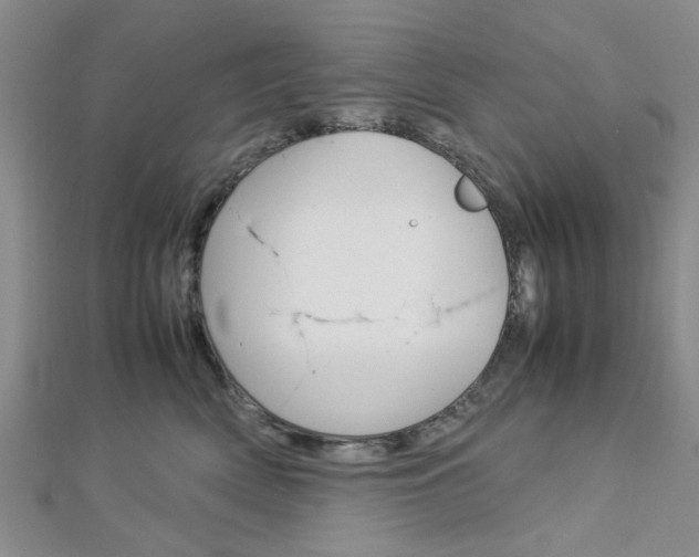 X0000113150522200909040935