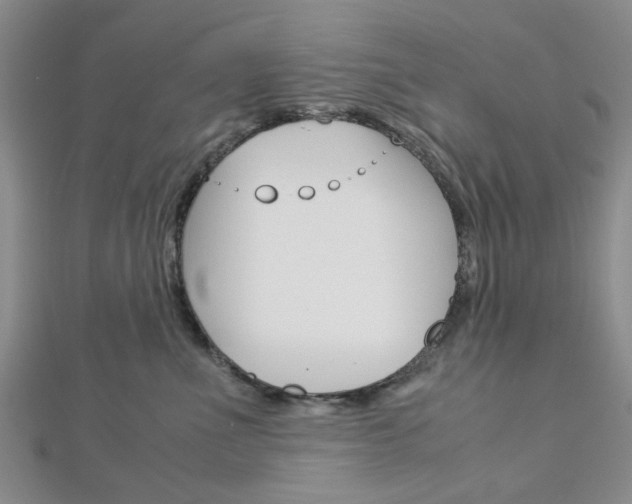 X0000113150523200909040935
