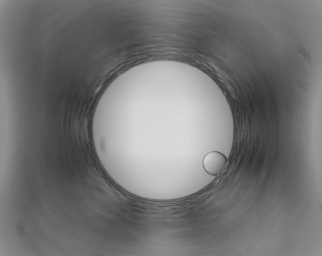 X0000113150524200909040935