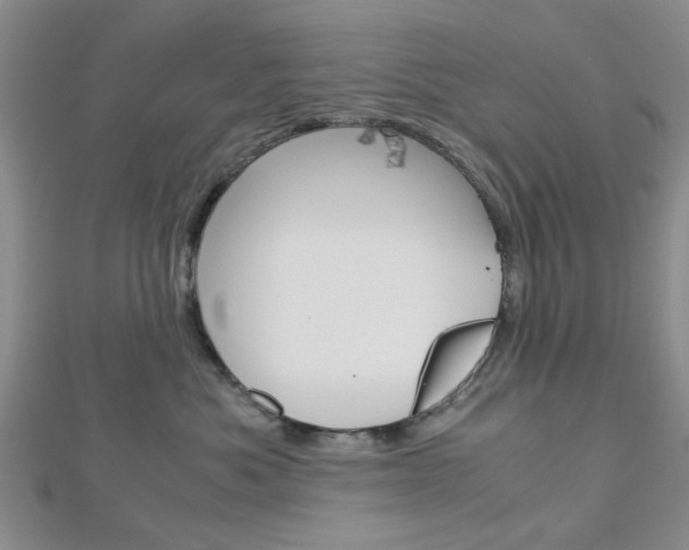 X0000113150525200909040935