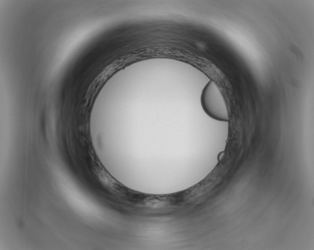 X0000113150526200909040935