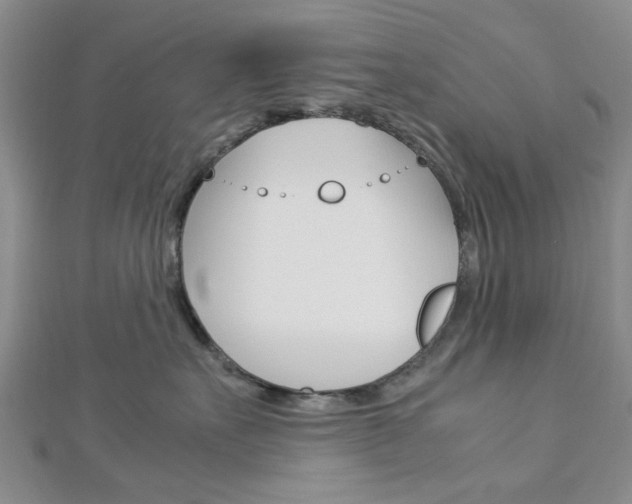 X0000113150527200909040935