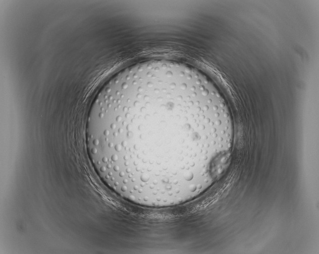 X0000113150529200909040934