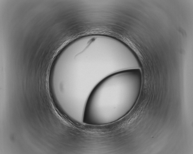 X0000113150530200909040934