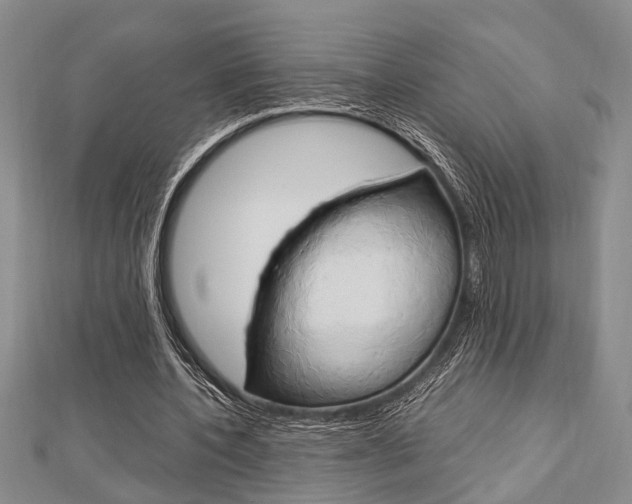 X0000113150532200909040934