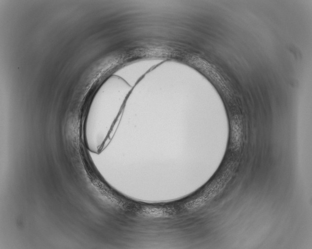 X0000113150534200909040934