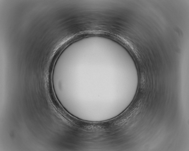 X0000113150535200909040934