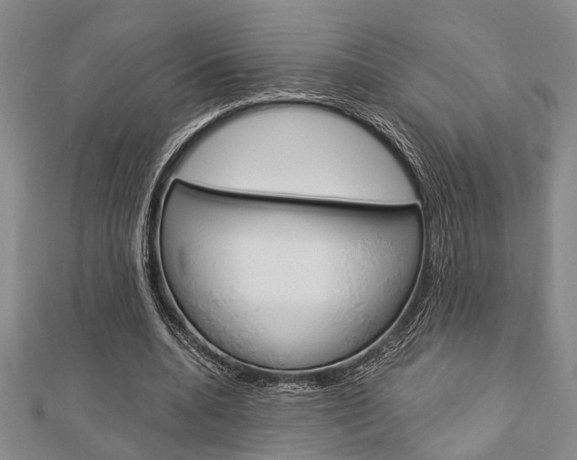 X0000113150536200909040934