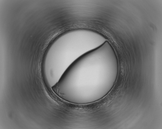 X0000113150538200909040934