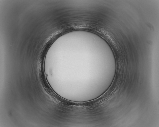 X0000113150539200909040934