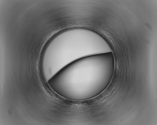 X0000113150540200909040934