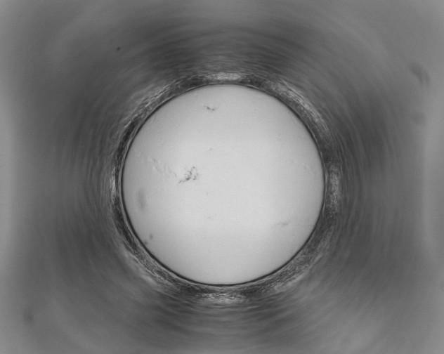 X0000113150541200909040934
