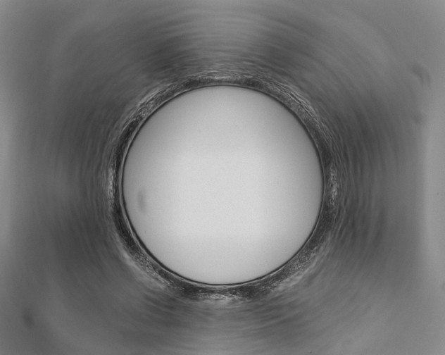 X0000113150542200909040934
