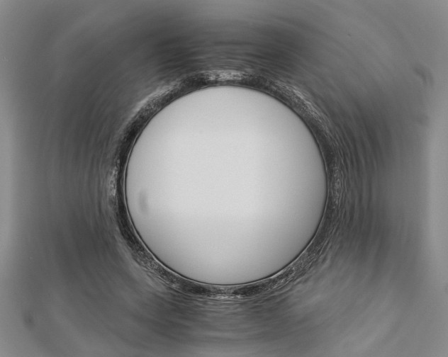 X0000113150543200909040934