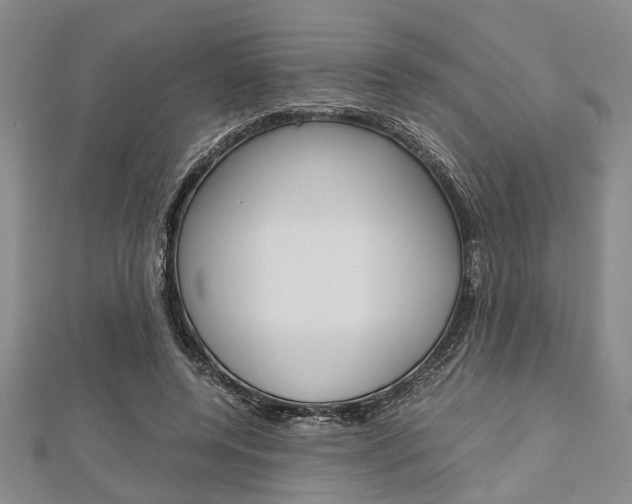 X0000113150544200909040934
