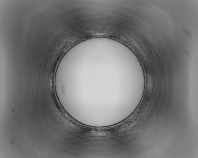 X0000113150545200909040934