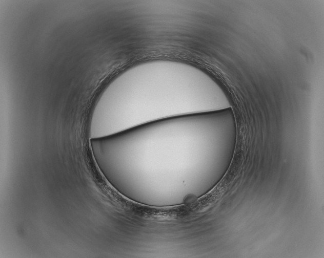 X0000113150546200909040934