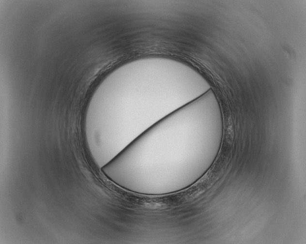 X0000113150547200909040934