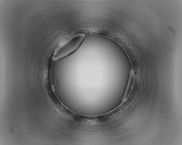 X0000113150548200909040934