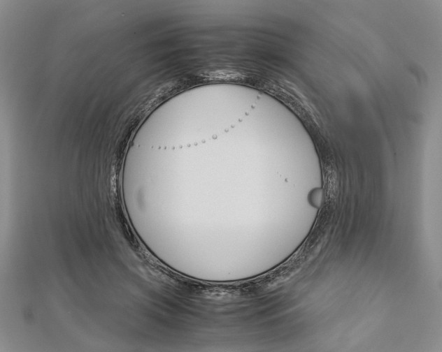 X0000113150549200909040934