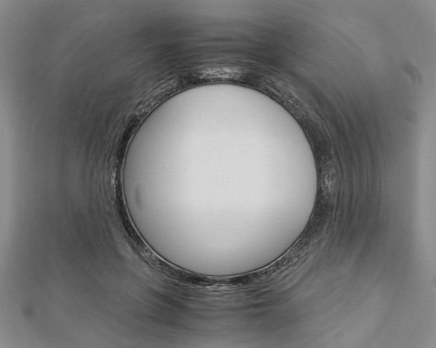 X0000113150551200909040934