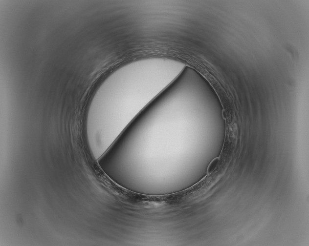 X0000113150552200909040934