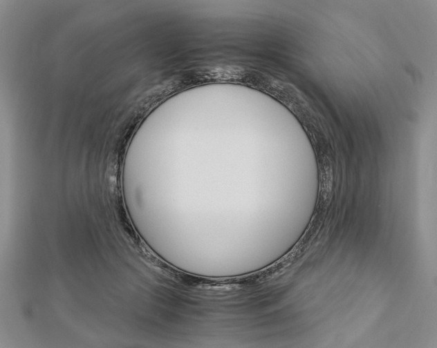 X0000113150553200909040934