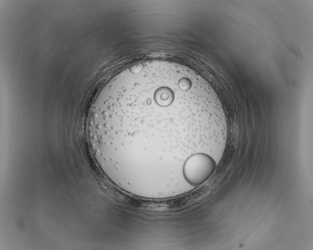 X0000113150554200909040934