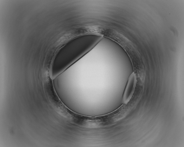 X0000113150556200909040934