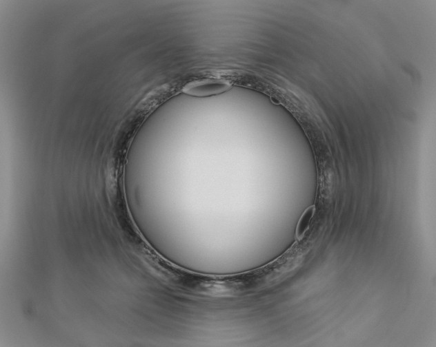 X0000113150558200909040934