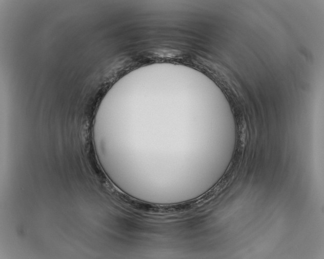 X0000113150559200909040934